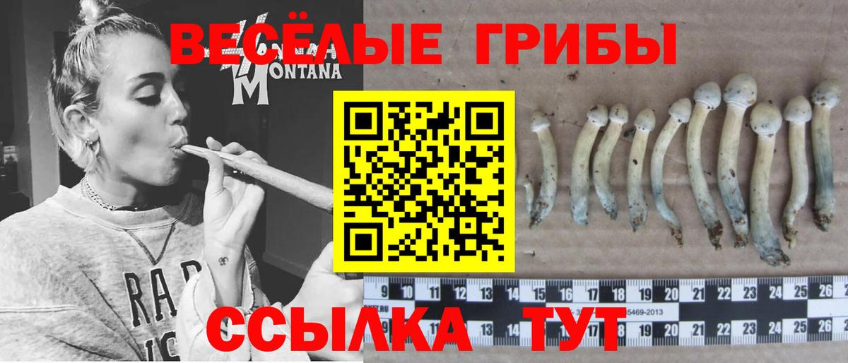 Строитель  Галлюциногенные грибы Psilocybe  Галлюциногенные грибы Psilocybine cubensis  Вход с VPN 