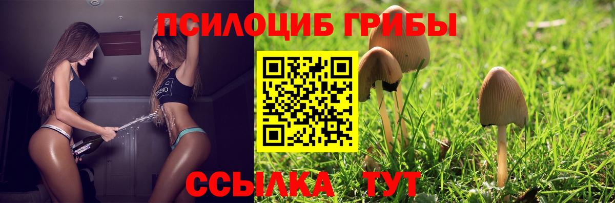 LSD-25  Строитель  Вход с VPN  Мефедрон кристаллы  Конопля  ГАШИШ 